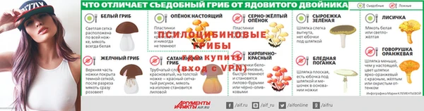 ГАЛЛЮЦИНОГЕННЫЕ ГРИБЫ Абаза