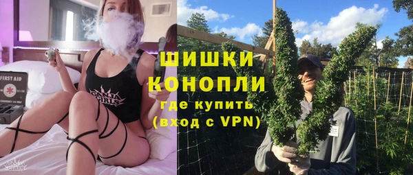ГАЛЛЮЦИНОГЕННЫЕ ГРИБЫ Абаза