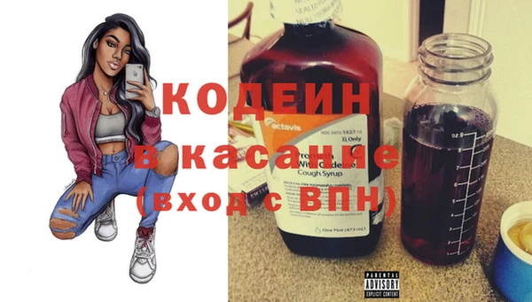 хмурый Арсеньев